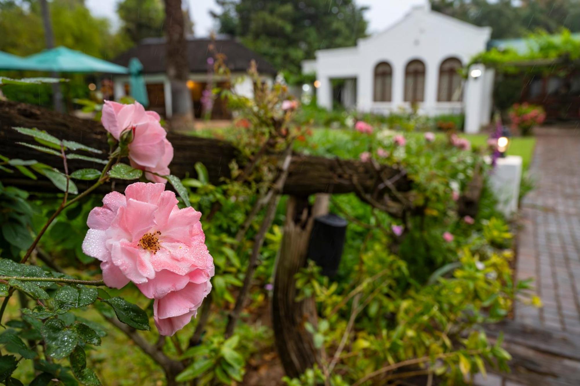 Woodall Country House And Spa Addo Eksteriør bilde