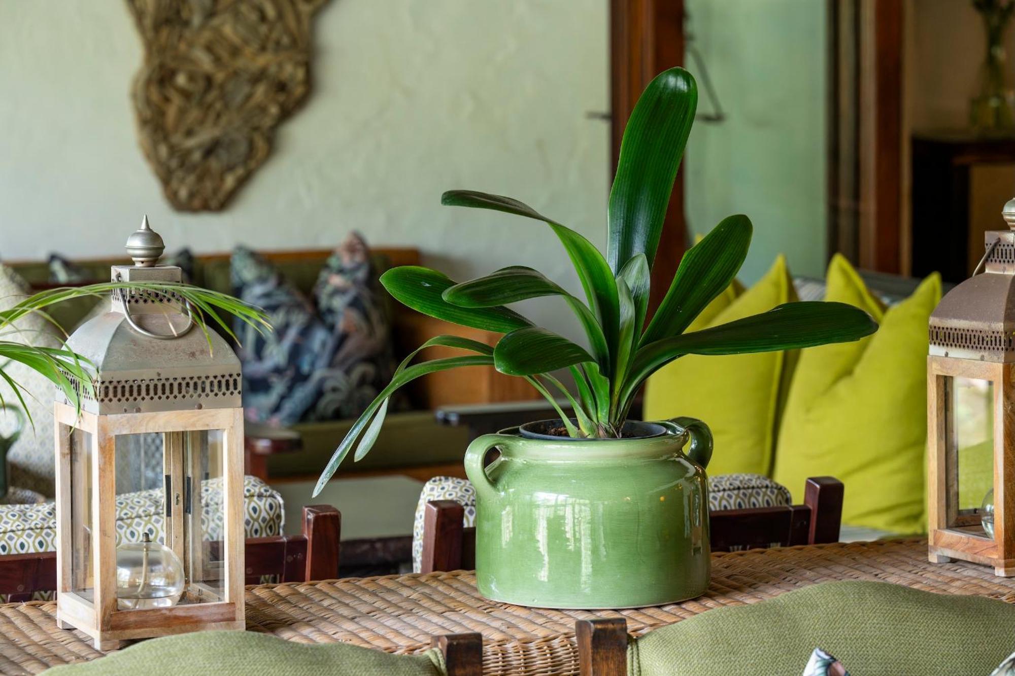 Woodall Country House And Spa Addo Eksteriør bilde