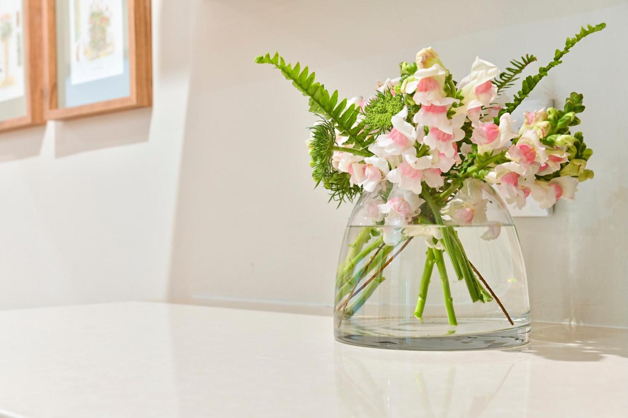 Woodall Country House And Spa Addo Eksteriør bilde