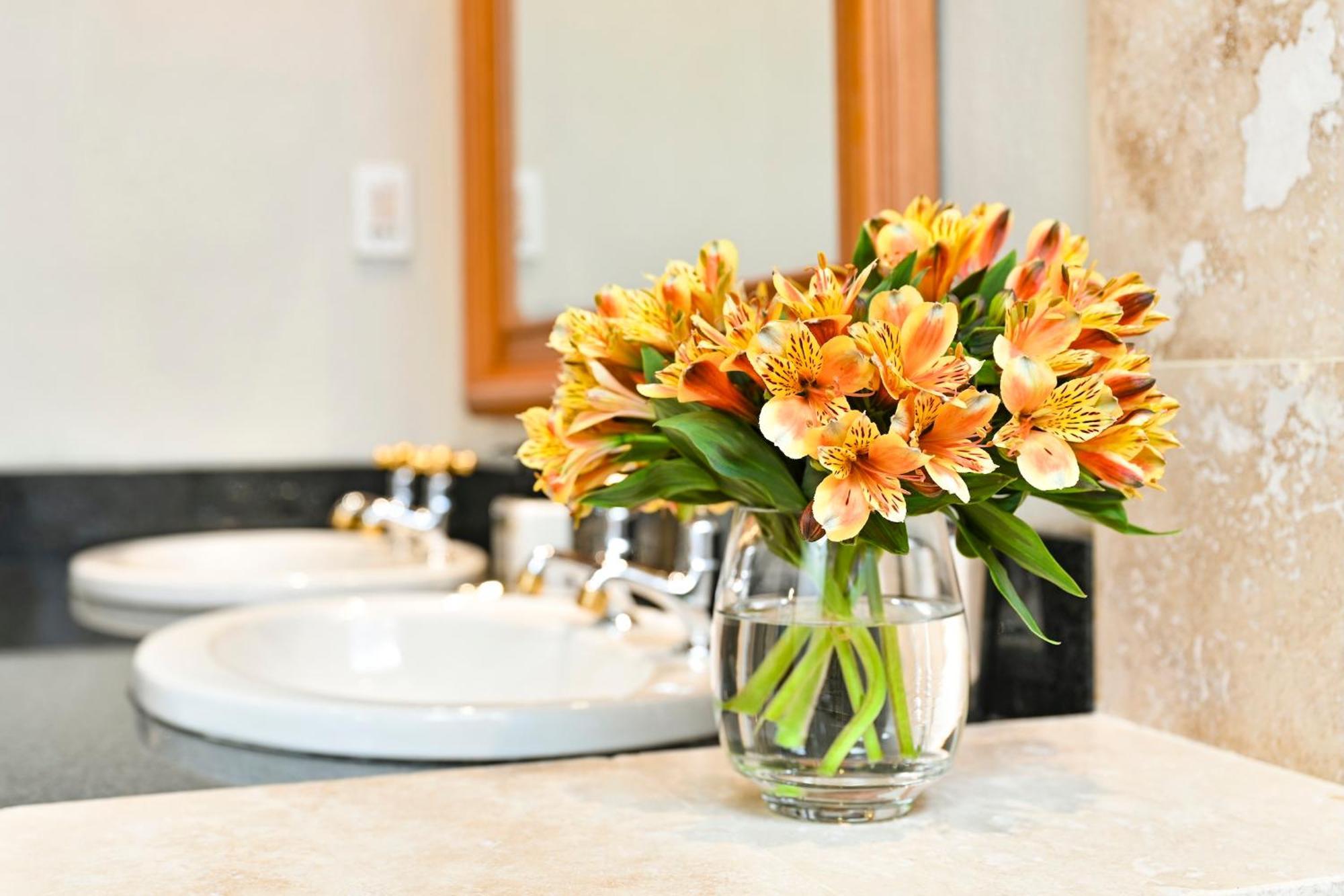 Woodall Country House And Spa Addo Eksteriør bilde